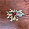 Ornaments - Liminal Puzzle Co